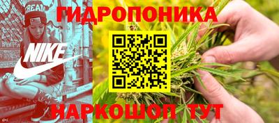 дмт Сланцы